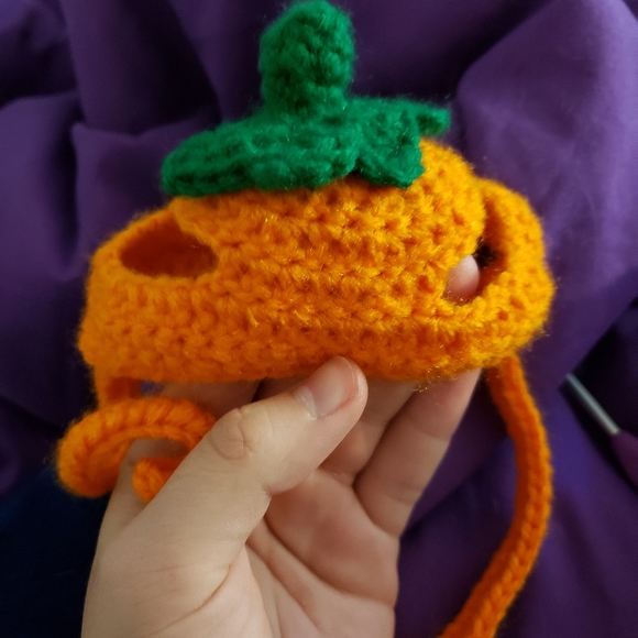 Crochet Pumpkin Cat Costume - Picture 2 of 3